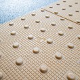 Platform Tactile Paving Surface